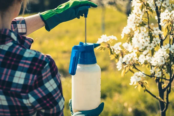 Person besprüht Baum mit Sprühflasche